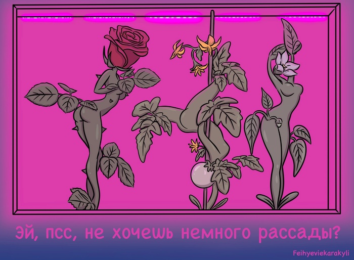 ��, ����, �� ������ ������� �������?