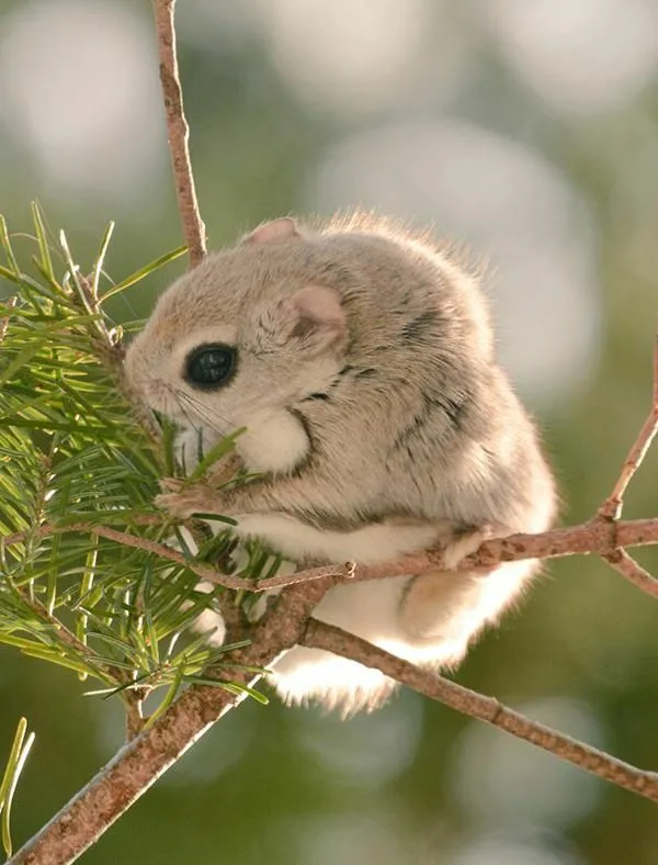 -Виталий нанимай нового!!!
