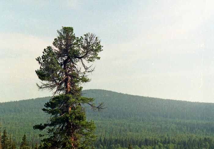      ! ,       - /,     -     .  -   ,  -   .