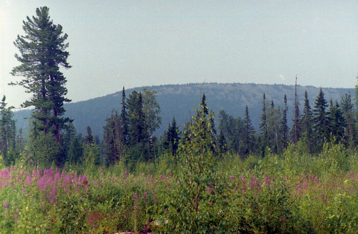      -  ,       .  ,       .