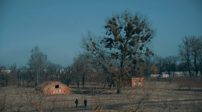Больное дерево помогает в создании соответствующего антуража для этой территории