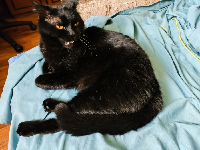 Ответ на пост «Понедельник»