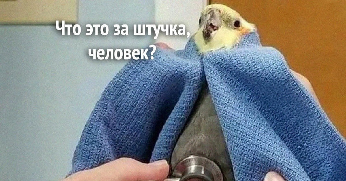 Некомфортно | Пикабу