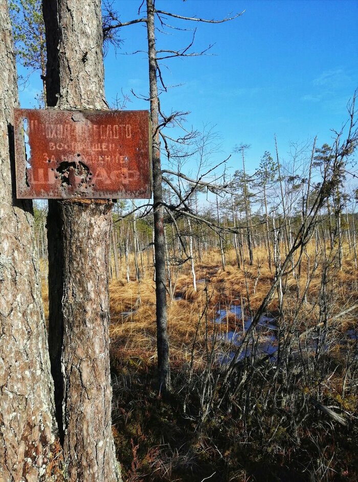 ������������� ������ ��������