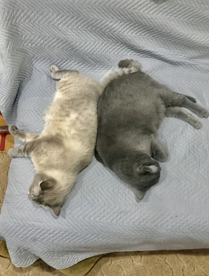 ��� � ���