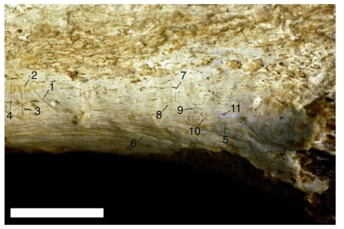       (  1-4  7-11)       (  5  6).