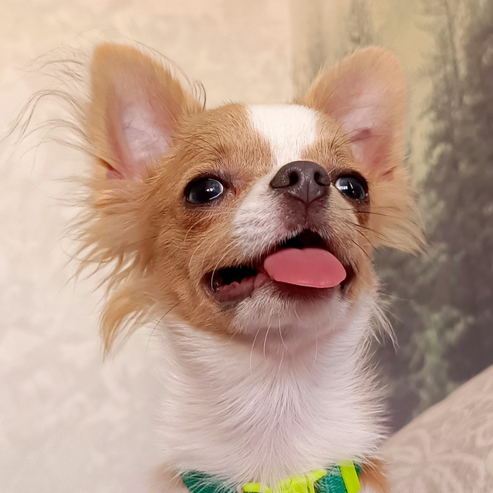 ����� ����������� ����������� ������ - ��� �������� ��������� ������.