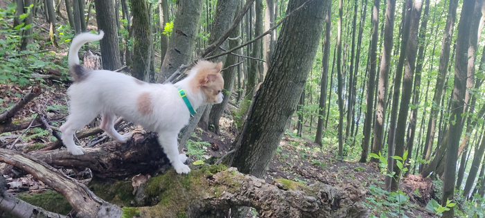 �������������, �������� ���������� �� ��������� � �������� ��������. ��������� ��������. ������ �����, ��� ����� �������� �������, � ������� � ��� �� �����.