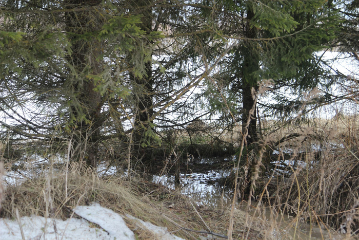 Место обнаружения трупа Дмитрия Алексанова.