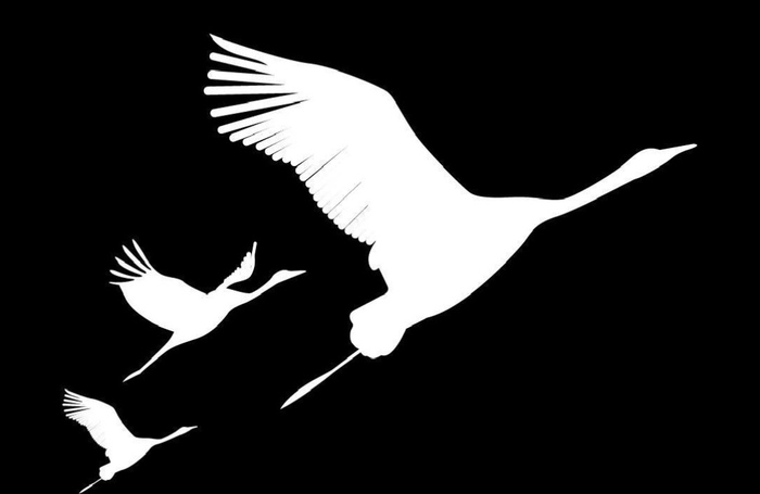 ����������� ��������, ������������ � ����, ���������� ������� � ������ ����