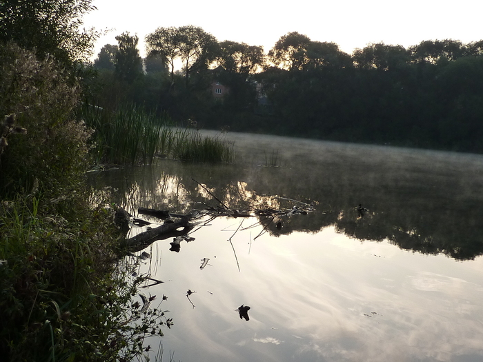 Ранним утром