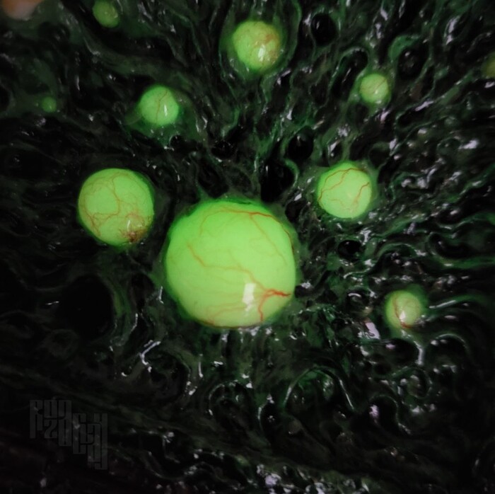 некоторые элементы светятся в темноте