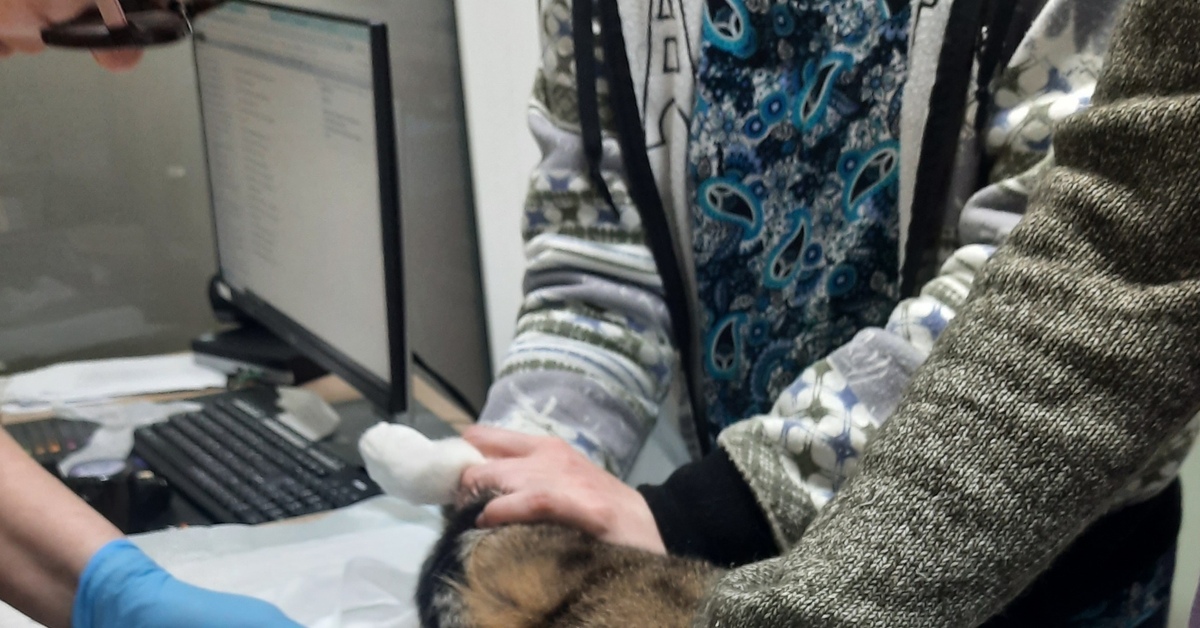 Санация ротовой полости Тимоши | Пикабу