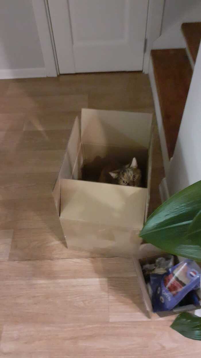 � �������