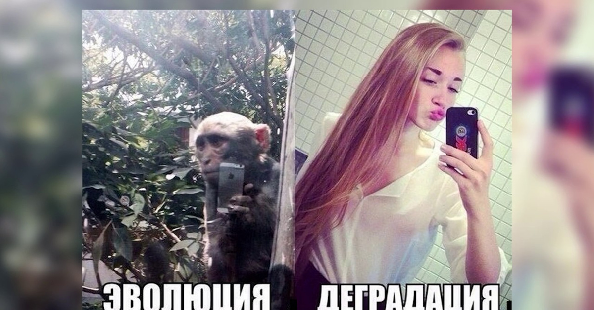 Женщины деградировали. Деградация картинки. Деградированная девушка. Деградация общества. Деградация молодежи.