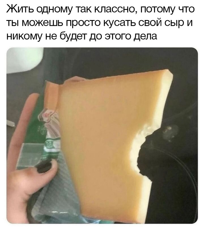   ,   , , Telegram (),  ()