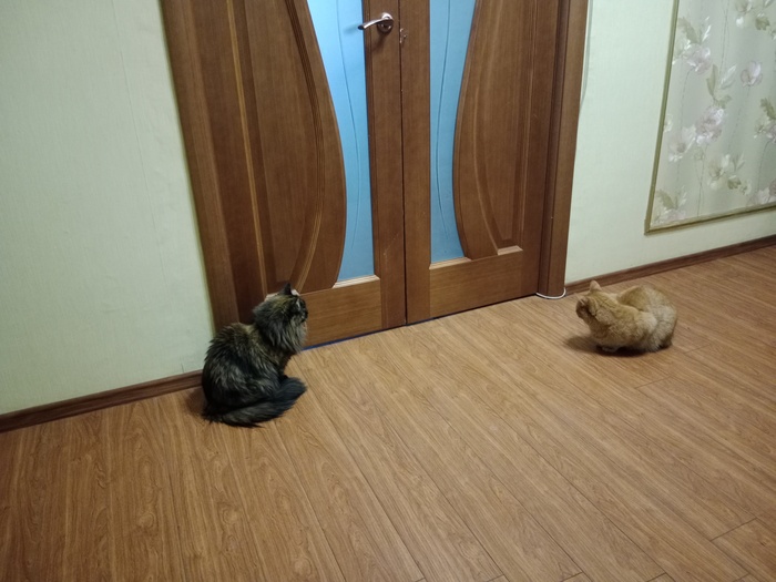     , , , , 