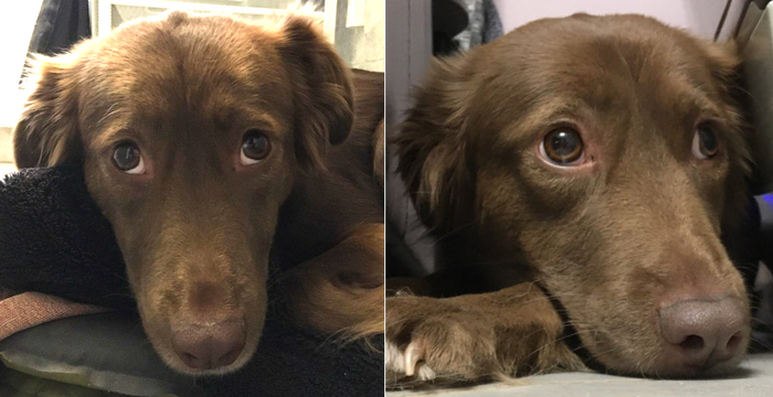 Она меня ждет...