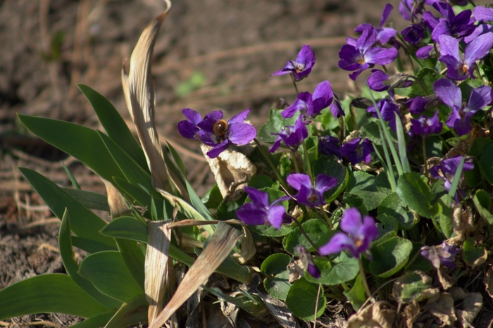 Ƹ��� ����� � ������������� ������