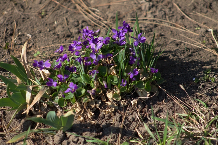 ������������� ������.