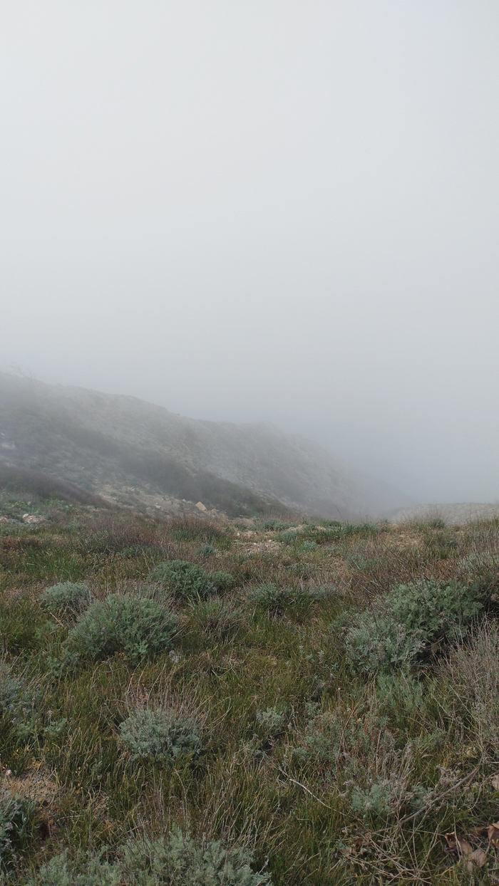 �� ������� 