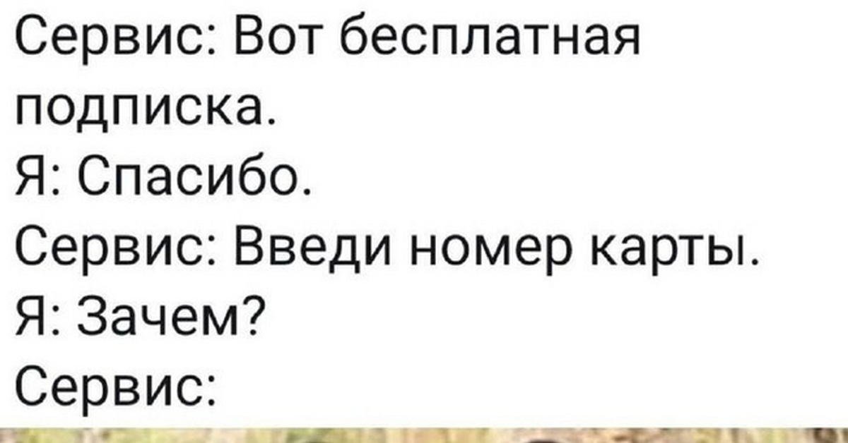 Бесплатная подписка | Пикабу