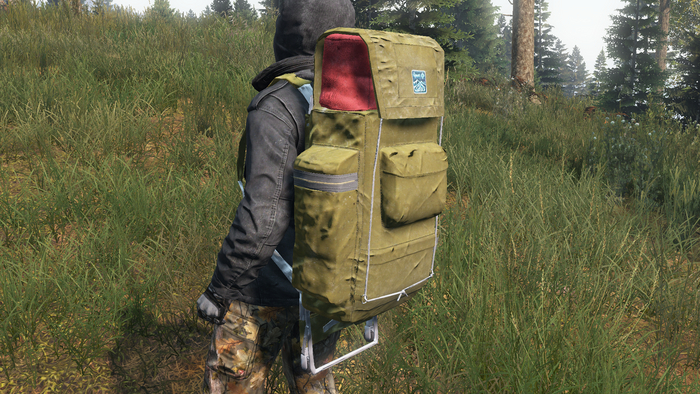    3D , DayZ, Substance painter, , 