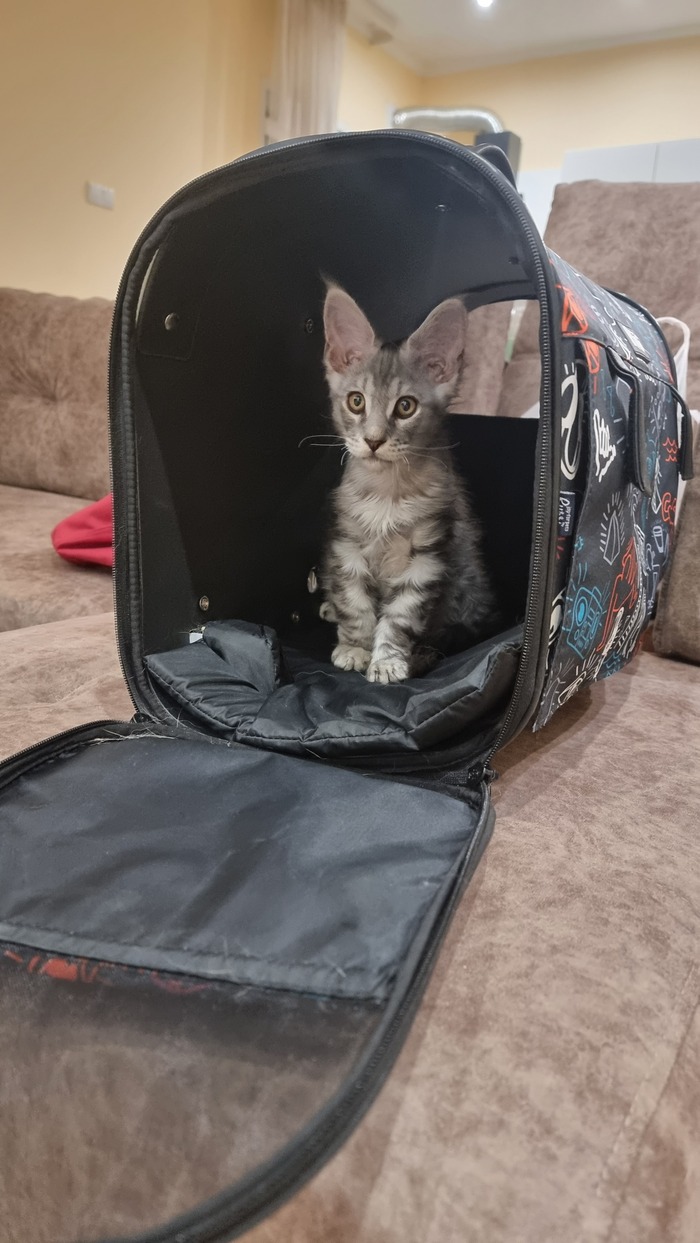 � ����� - ��:) 