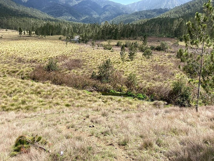 Центральная Кордильера