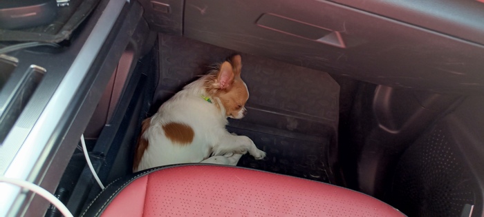 � ���� �����, �� ������� � ���������� ���������