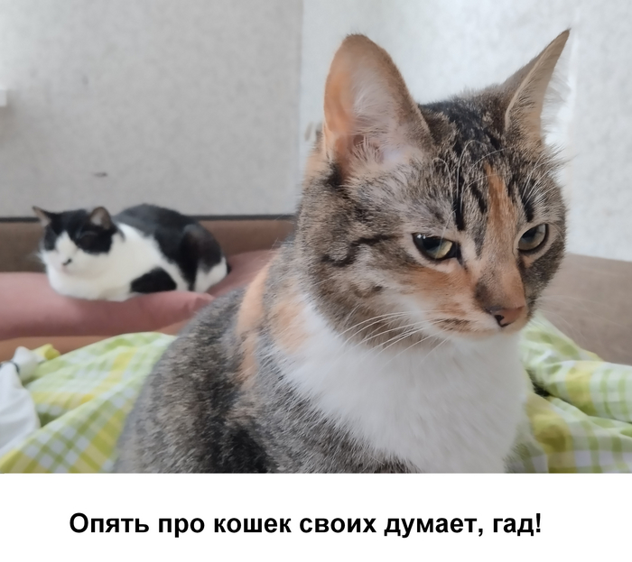    , , ,   