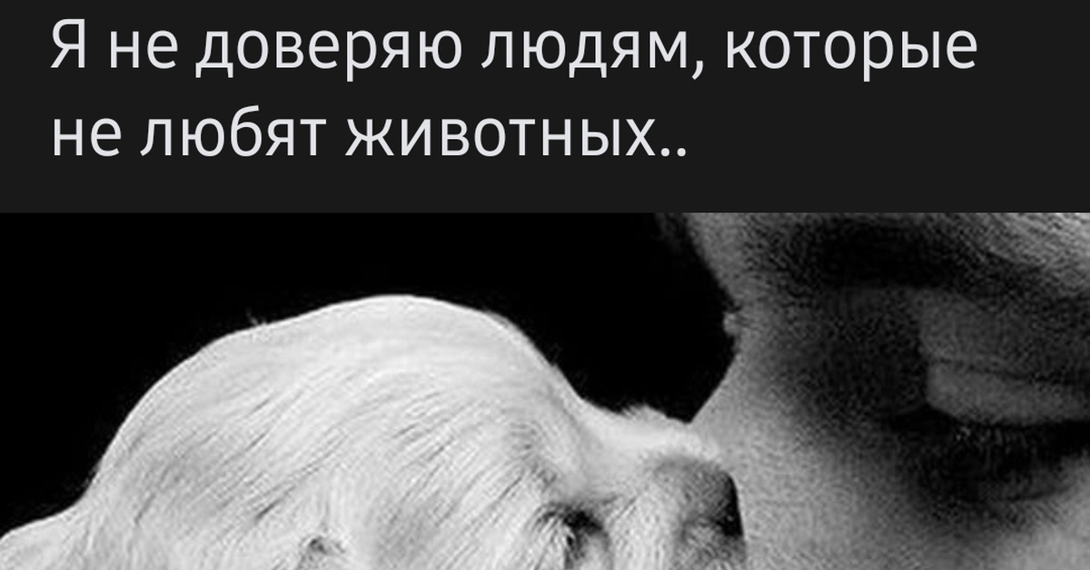 Про доверие | Пикабу