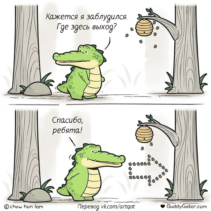  ,  , , Buddygator