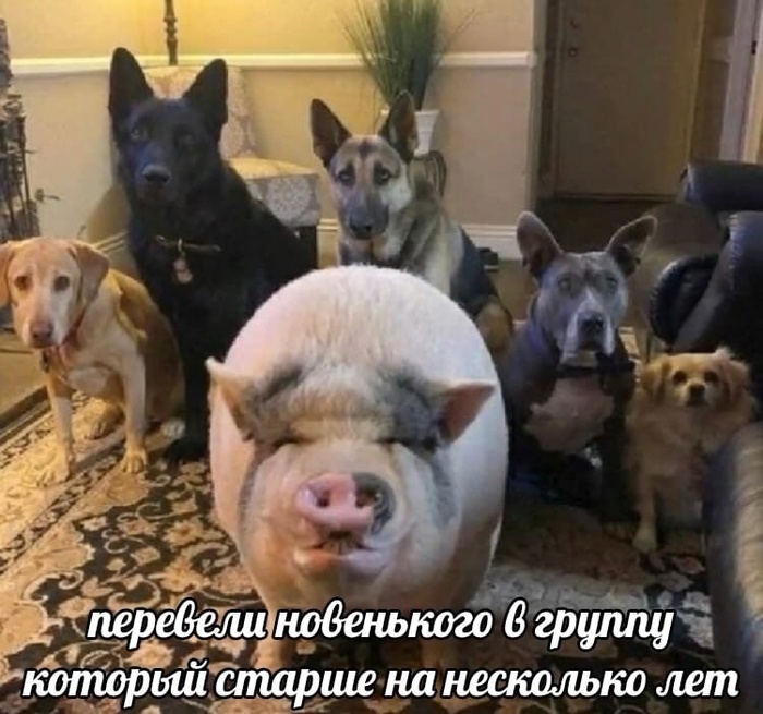     , 