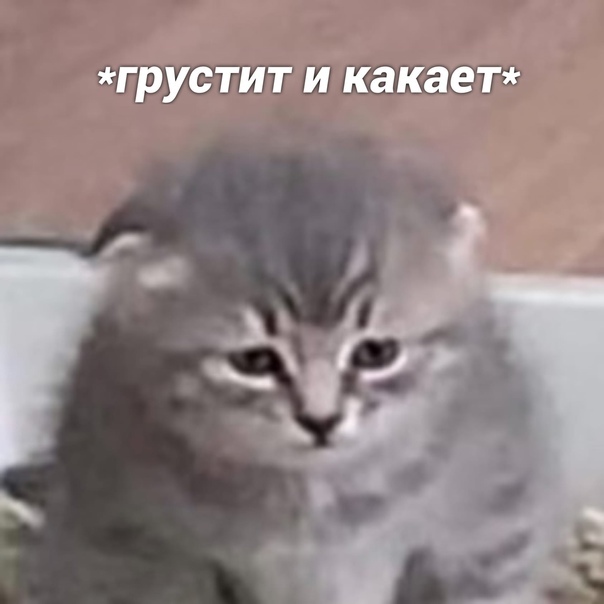 Инсайты бывают разные | Пикабу