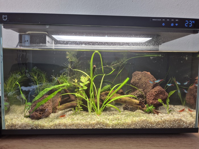 Зеленый грунт...печально