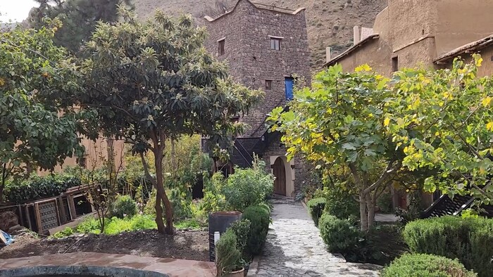 ������� ������ �����