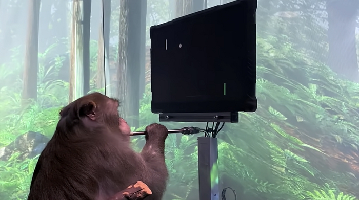 ��������: Neuralink