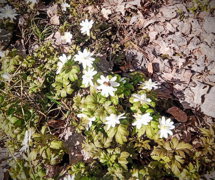 ��������� ���������. � ��� ��� ��������� ���� �����������.