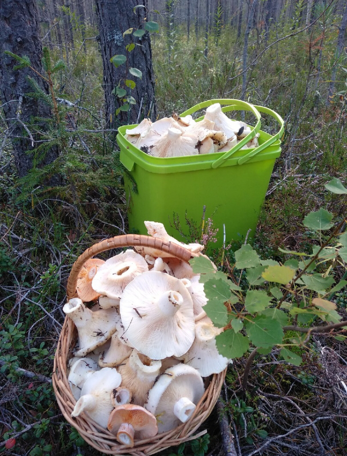 ��� ������ ����������. ����� �� ����� ) �� ��� ��� ��� ������� ������ �� ������. (������, ���������� �����, ��� ����� �����, ��� ����� �������, ���-�� ���))