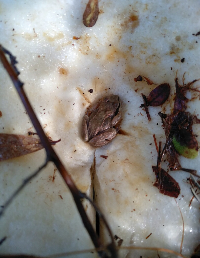 � ���� �� ��������� ������. ��� ������� �������. ������ ������� � ��� ������ ���� ��������� ����� )