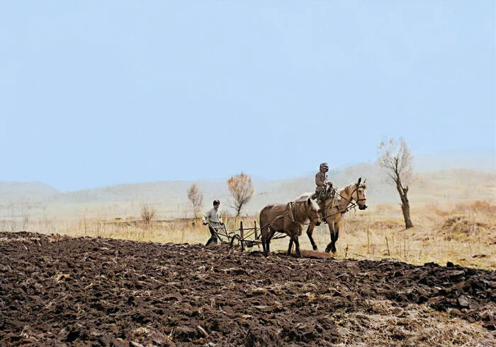 Нелегкая жизнь и судьба Русского села Романовка в Маньчжурской империи. 20 раскрашенных фотографий конца 1930-х годов Старое фото, Колоризация, Историческое фото, Фотография, Маньчжурия, СССР, 1930-е, Репрессии, Староверы, Село, Длиннопост