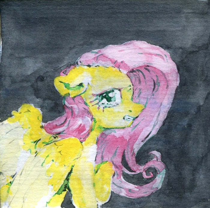 My Little Pony, Fluttershy,  ()