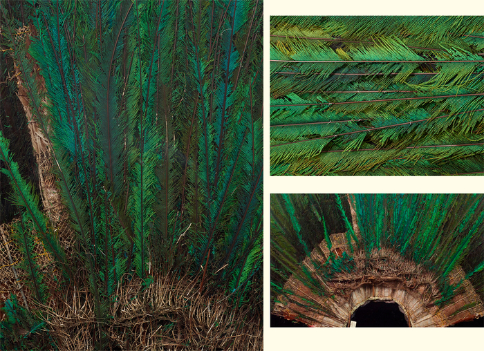     /  KHM-Museumsverband