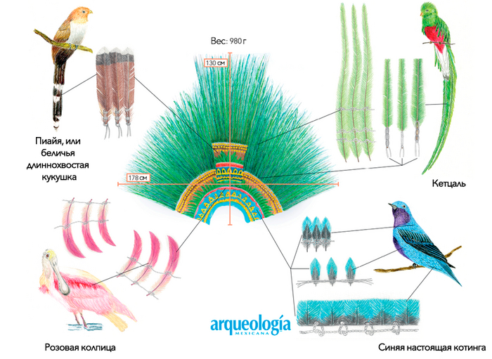 : Mar&#xED;a Olvido Moreno, Moreno Guzm&#xE1;n; Mar&#xED;a Olvido y Melanie Ruth Korn, El penacho de Moctezuma, Arqueolog&#xED;a Mexicana, n&#xFA;m. 159, pp. 62-66.