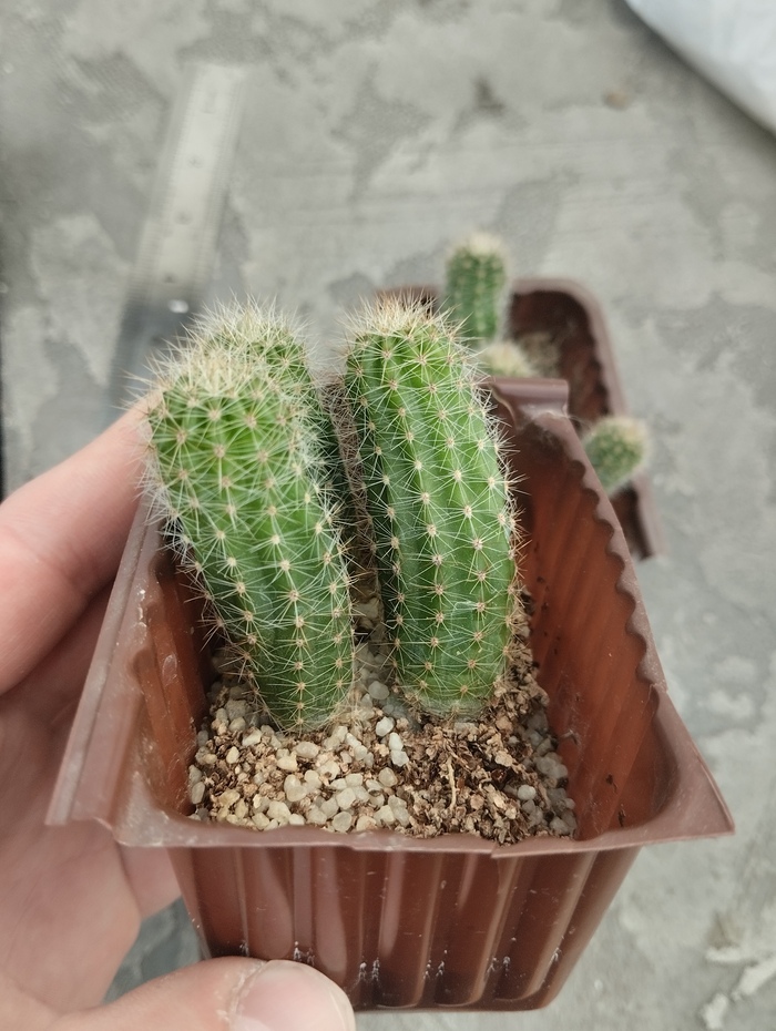       , , , , , , , , 