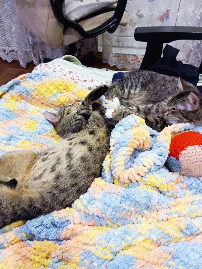 Двое из ларца