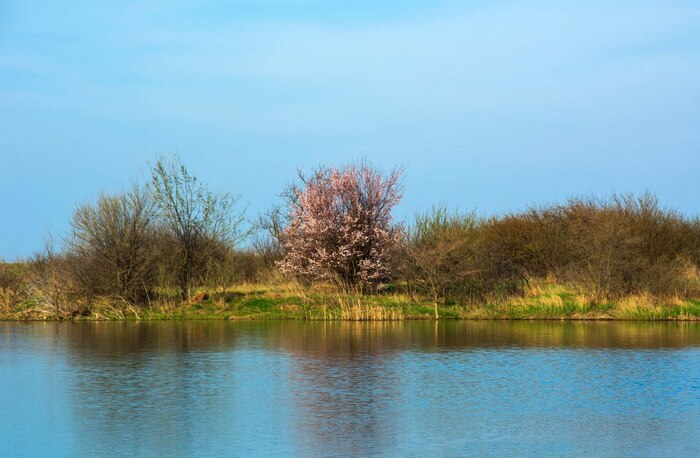 А на том берегу ...
