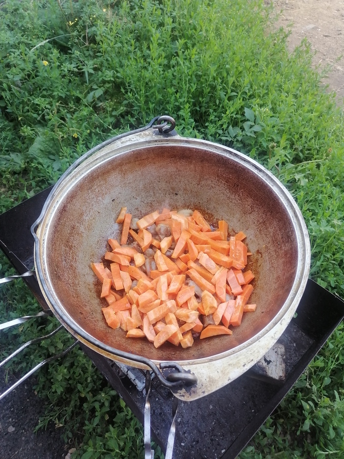  - ,   ,  ,     ,    .