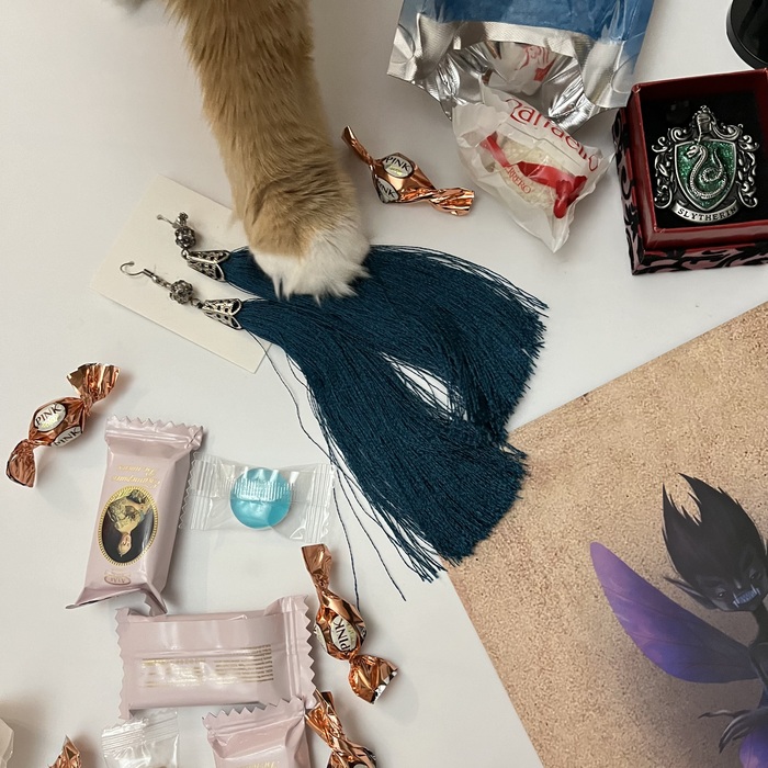 Они, к слову, очень приглянулись коту) На фото попытка их стащить